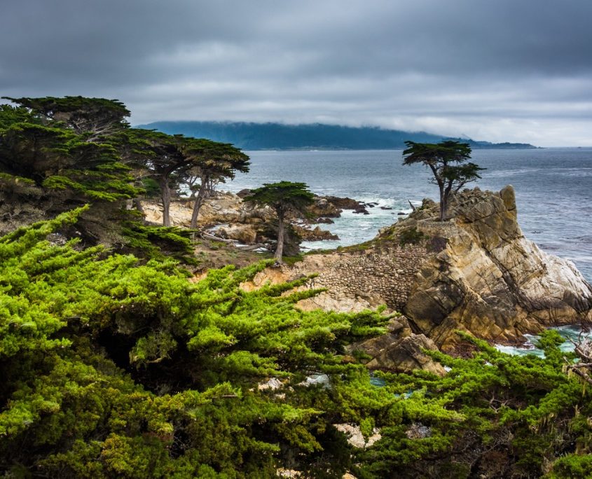 Pebble Beach Private Jet And Air Charter Flights